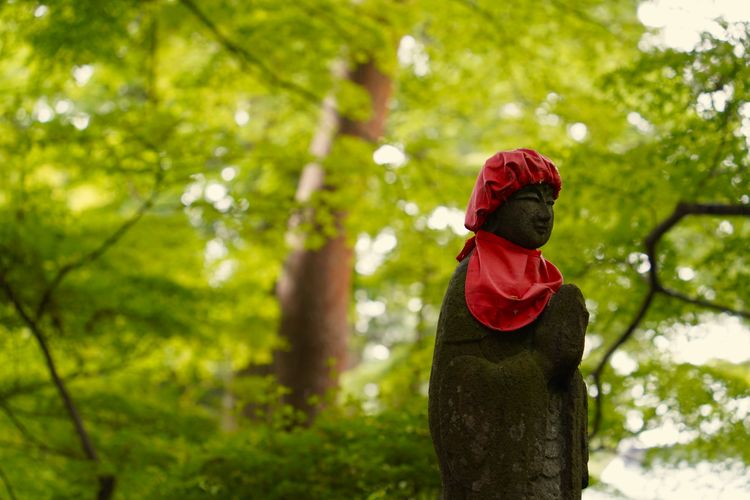 日本東北，九天八夜行程概略